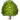 deciduous_tree.png