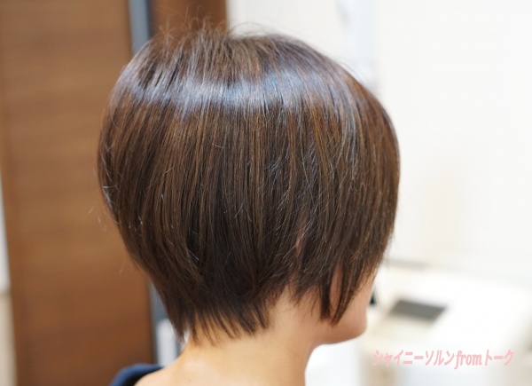 ヘアリセッターとショートボブ