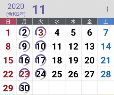 11月定休日